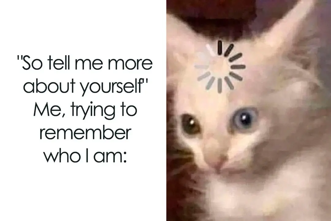 a meme of a frazzled kitten with a loading icon over it's head, with a caption that reads: "'So tell me more about yourself.' Me, trying to remember who I am: