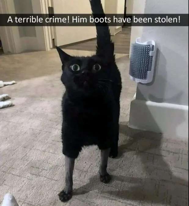 1000189733