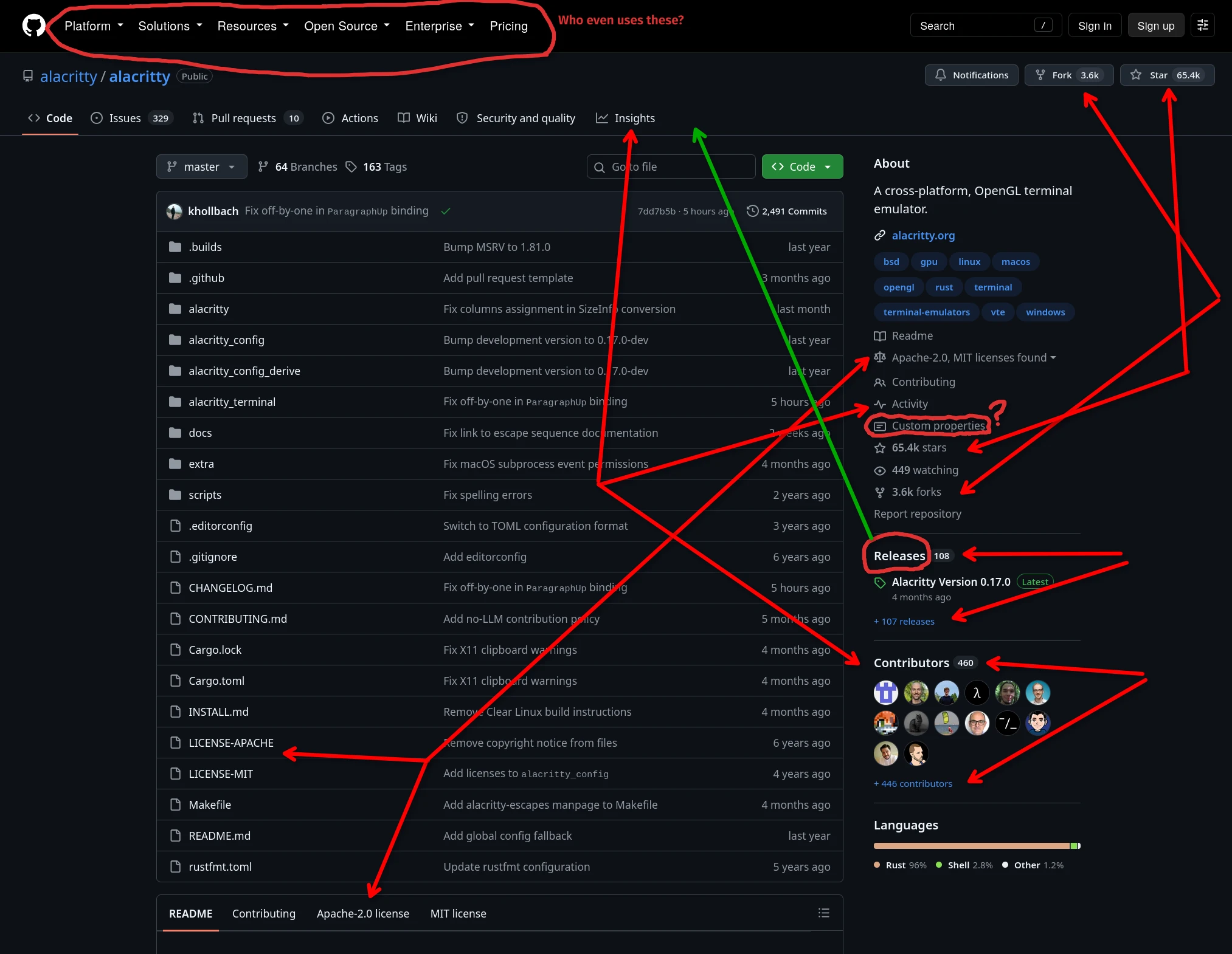 Screenshot of the repository overview page. There's a lot of duplicated information.