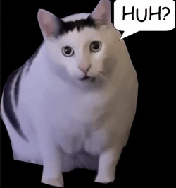 huh cat meme