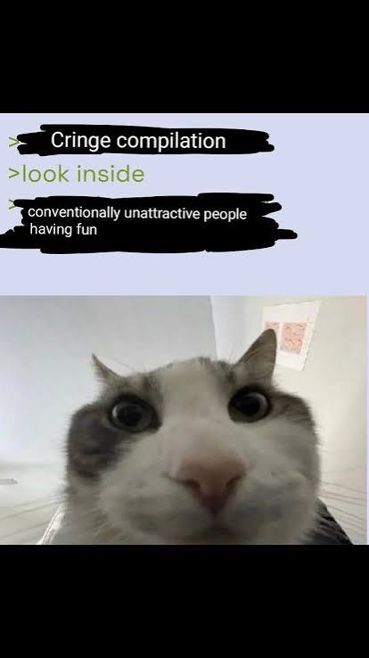 Cringe compilation. Look inside. Conventionally unattractive people having fun.
