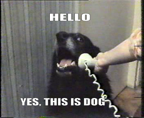 Meme photo of a black labrador with someone reaching in from out of frame to hold a corded telephone handset to its ear. A caption reads, "Hello. Yes, this is dog."