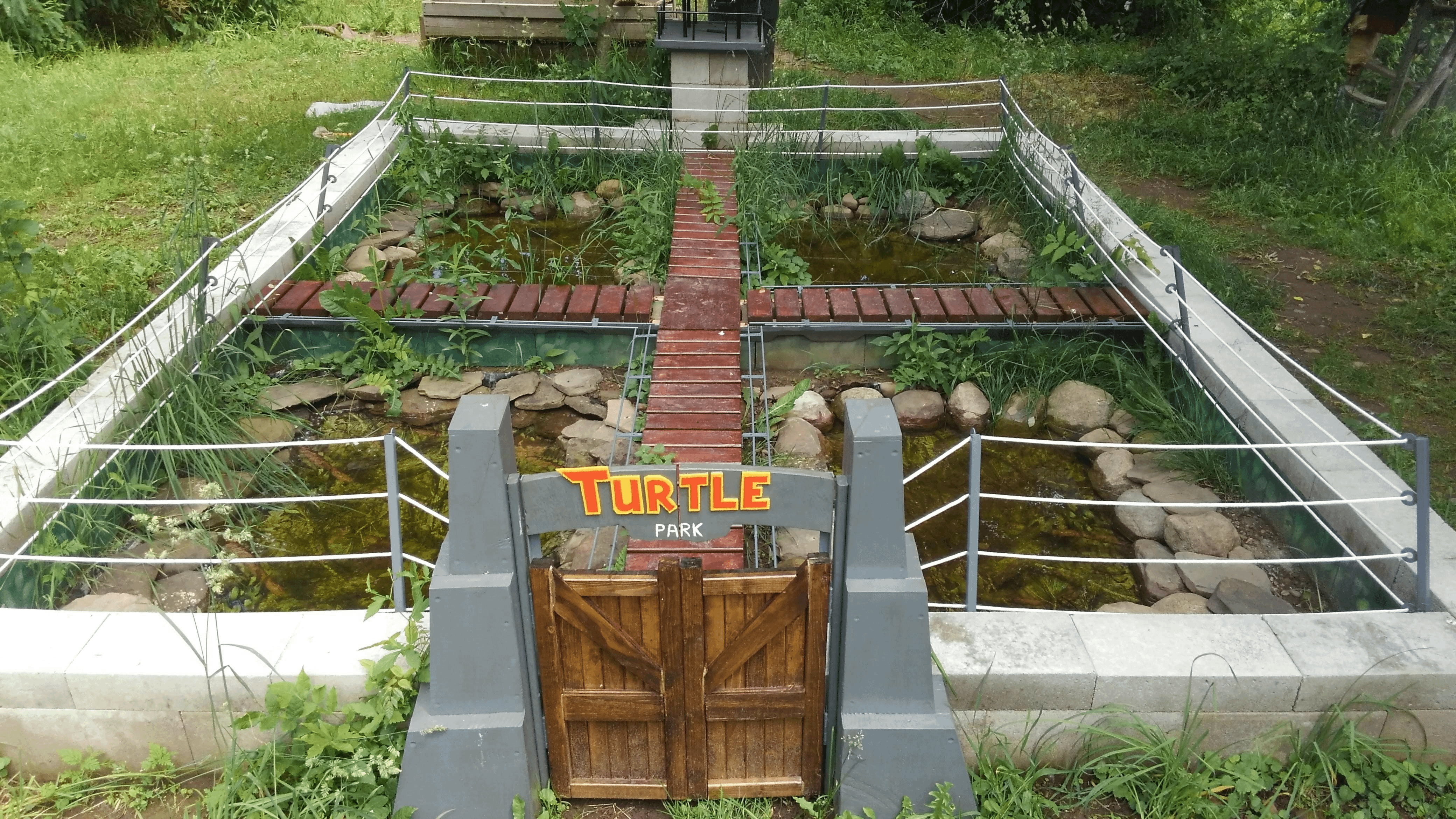 Gallery image 2