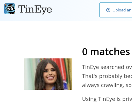 Screen shot of a Tineye results page saying that the image in the OP (or rather a cropped version including only the face/portrait of the individual in the image in the OP) returns zero results.