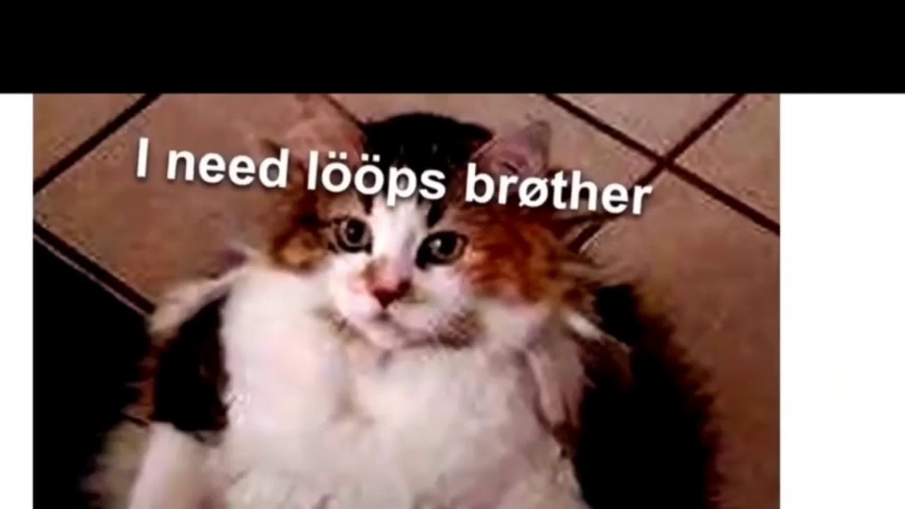 1000005506