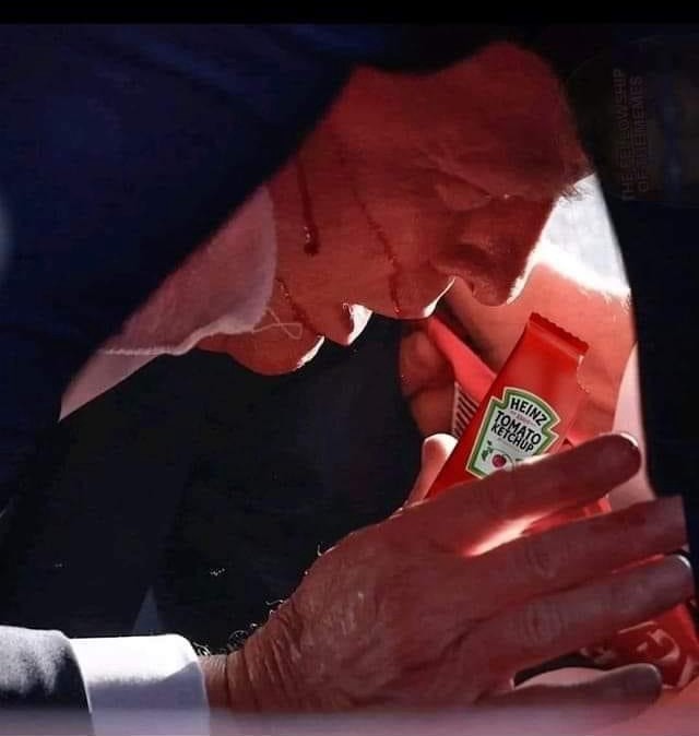 ZzEm9VqzdAMov4o.jpg