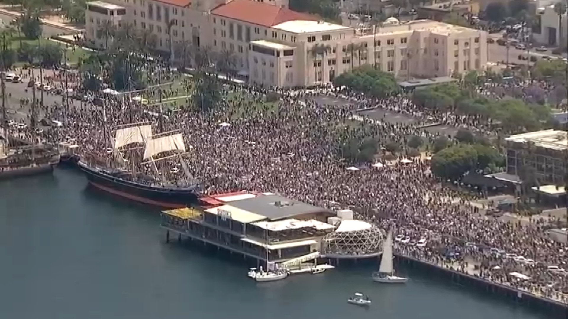 No Kings protest showing an endless flood of protesters